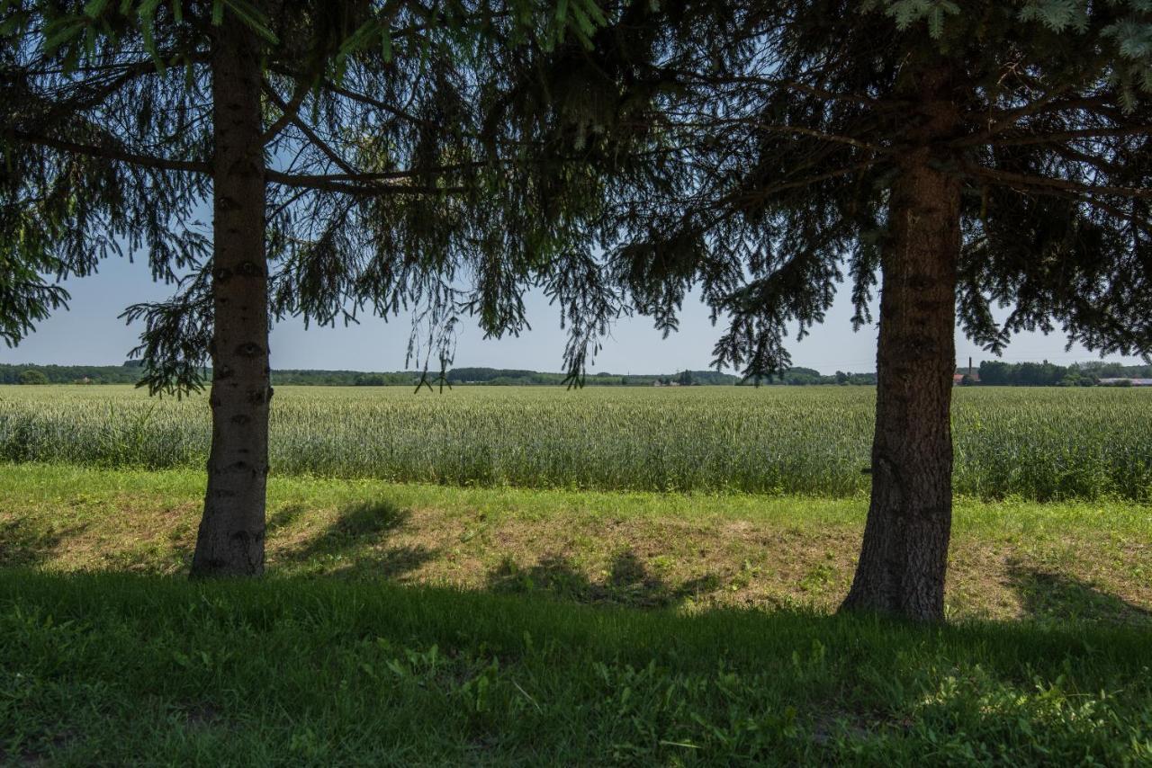 Pósteleki Vendégház-Nyugalom Szigetei Gyula Extérieur photo